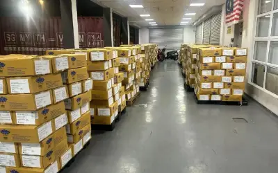 26 Tan Daging Ayam Beku Dirampas Guna Sijil Halal Palsu