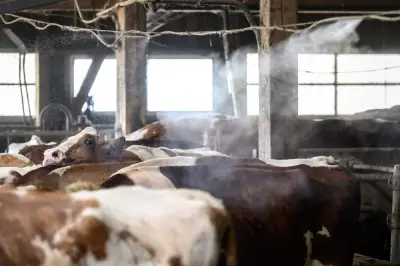 Gelombang Panas Eropah: Ancaman Struktur kepada Ekonomi dan Bekalan Makanan