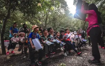Kanak-kanak habiskan hujung minggu di hutan, belajar alam