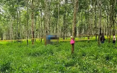 Lelaki Hilang 12 Hari Ditemukan Maut di Ladang Getah Baling