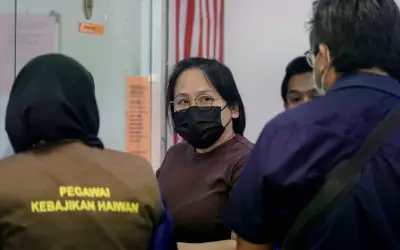 Pekerja Bebas Didakwa Biarkan 41 Kucing Mati Kebuluran