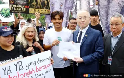 Presiden MCA janji bawa isu gajah Dara, Amoi, Kelat ke Dewan Rakyat