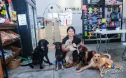 Aunty Kim Tinggalkan Kerja Bergaji Tinggi, Ceburi Bisnes Makanan Anjing