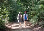 Berjalan di hutan lebih baik daripada epal untuk kanser?