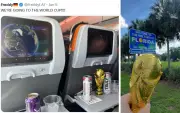 Bintang Kejutan Piala Dunia: Freddy, Peminat Jerman Viral dengan Video Perjalanan