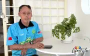 Bomoh mahu bantu, kata Firdaus yang hidup dengan ichthyosis