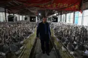 Dulu makan sehari sekali, kini untung foie gras beli Maserati