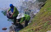Hujan lebat berterusan dipercayai punca kematian ikan di Tasik Danau Kota