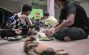 Iman dan Bola Sepak Bertemu di Masjid Subang Jaya