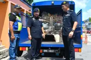 JPJ Selangor: Tiada lagi amaran, pemilik kenderaan disewa kepada warga asing terus ke mahkamah