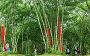 Kampung buluh tersembunyi di Kulai tarik ramai pelancong