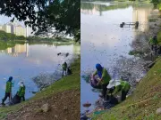 Kematian Ikan Masal di Danau Kota: DBKL Jelaskan Punca Hujan Lebat