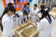 Mongolia pulang rangka dinosaur langka selepas dua dekad
