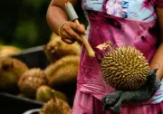 Pakej Durian Tanpa Had di Pulau Pinang Tarik Pelancong Hong Kong
