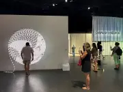 Pameran seni digital Art Basel buat pertama kali di Basel