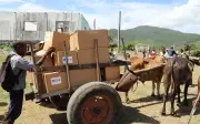 Pedati Lembu Angkut Bantuan AS di Cuba Dilanda Krisis Bahan Api