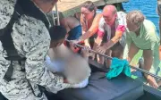 Pelancong Jerman maut semasa snorkeling di perairan Lahad Datu