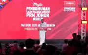 PH umum calon PRN Johor: Maszlee di Puteri Wangsa, Onn di Senggarang