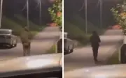 Polis kesan lelaki berpakaian seragam tentera dalam video viral