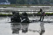 Selangor salur RM500 sehektar kepada 7,387 pesawah, nelayan terima subsidi minyak