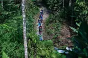 Sukarelawan Semai terus cari Jaslinda di hutan Perak selepas operasi rasmi tamat