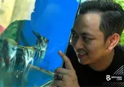 Usahawan Kelantan raih pendapatan lumayan dari ikan hiasan secara dalam talian