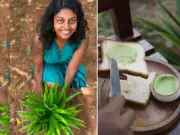 Usahawan Malaysia mahu jadikan pandan perisa popular di India