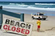 Wanita cedera parah selepas diserang yu di Pantai Coogee Australia