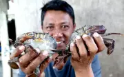 YouTube bimbing nelayan Sabah bina empayar ketam lembut