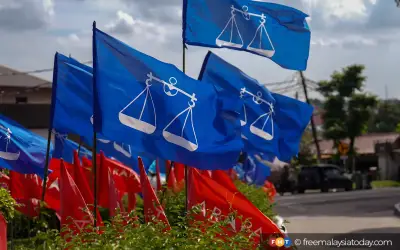 65% keluar mengundi Cina bantu PH rampas kerusi BN, kata pusat kajian
