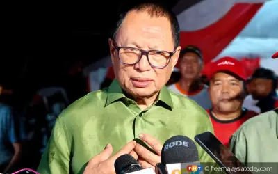 Bekas pemimpin Umno Puad Zarkashi sokong calon PKR Maszlee Malik di Johor