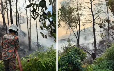 Dua sekolah di Puncak Alam ditutup akibat kebakaran bukit