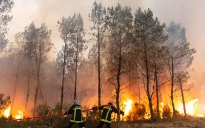 Emisi kebakaran hutan melonjak, jutaan terdedah pencemaran udara