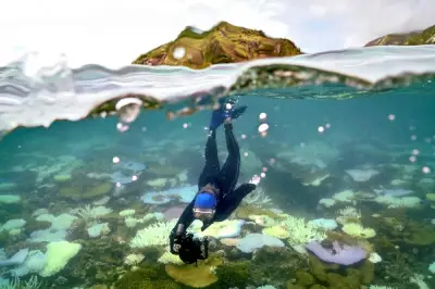 Great Barrier Reef Terelak Dari Senarai Bahaya UNESCO Walaupun Risiko Pelunturan Karang