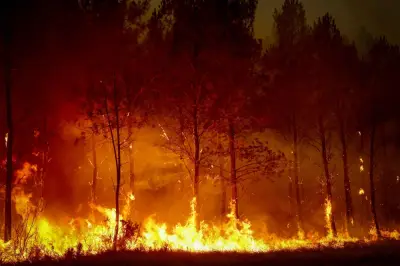 Kebakaran Generasi Keenam Makin Kerap Akibat Perubahan Iklim