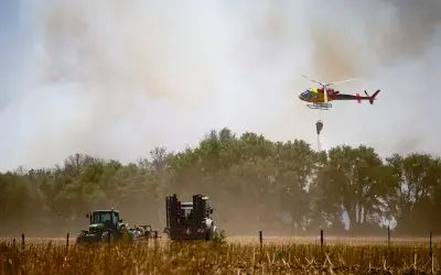 Kebakaran hutan ancam pelancong Costa Brava, 150 dipindahkan