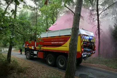 Kebakaran Hutan Fontainebleau: 1,300 Hektar Terbakar, Dua Ditahan