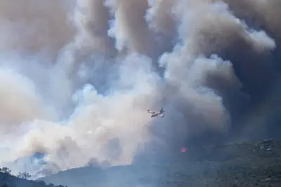 Kebakaran hutan melanda Perancis, Sepanyol, Portugal ketika Eropah bersiap gelombang panas baharu