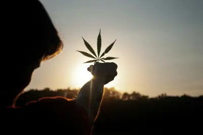 Mahkamah Kenya: Hisap Ganja Untuk Tujuan Agama Masih Salah