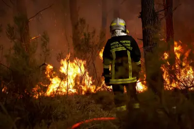 Perancis dan Sepanyol lawan kebakaran hutan terburuk dalam sejarah