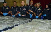 116.2kg Bunga Ganja Bernilai RM13.34 Juta Dirampas Polis Selangor