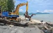 62 beg pasir lindungi pantai Batu Ferringhi daripada hakisan