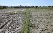 Agensi Cuaca Indonesia Amaran El Nino Berterusan Hingga Awal 2027