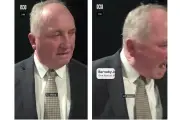 Ahli Parlimen Australia marah pada anjing dalam wawancara TV langsung