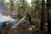 Anggota bomba sukarelawan ditahan atas dakwaan bakar Hutan Fontainebleau
