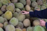 Anwar janji bawa isu durian dalam rundingan dengan China bulan depan