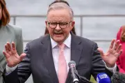 Australia cadang undang-undang AI baru kawal pusat data, tenaga dan hak cipta