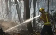 Enam maut dalam kebakaran hutan di selatan Sepanyol