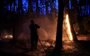 Kebakaran hutan di selatan Perancis, angin kencang halang pemadaman