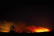 Kebakaran hutan Eropah musnahkan 19,000 hektar, ribuan dipindahkan